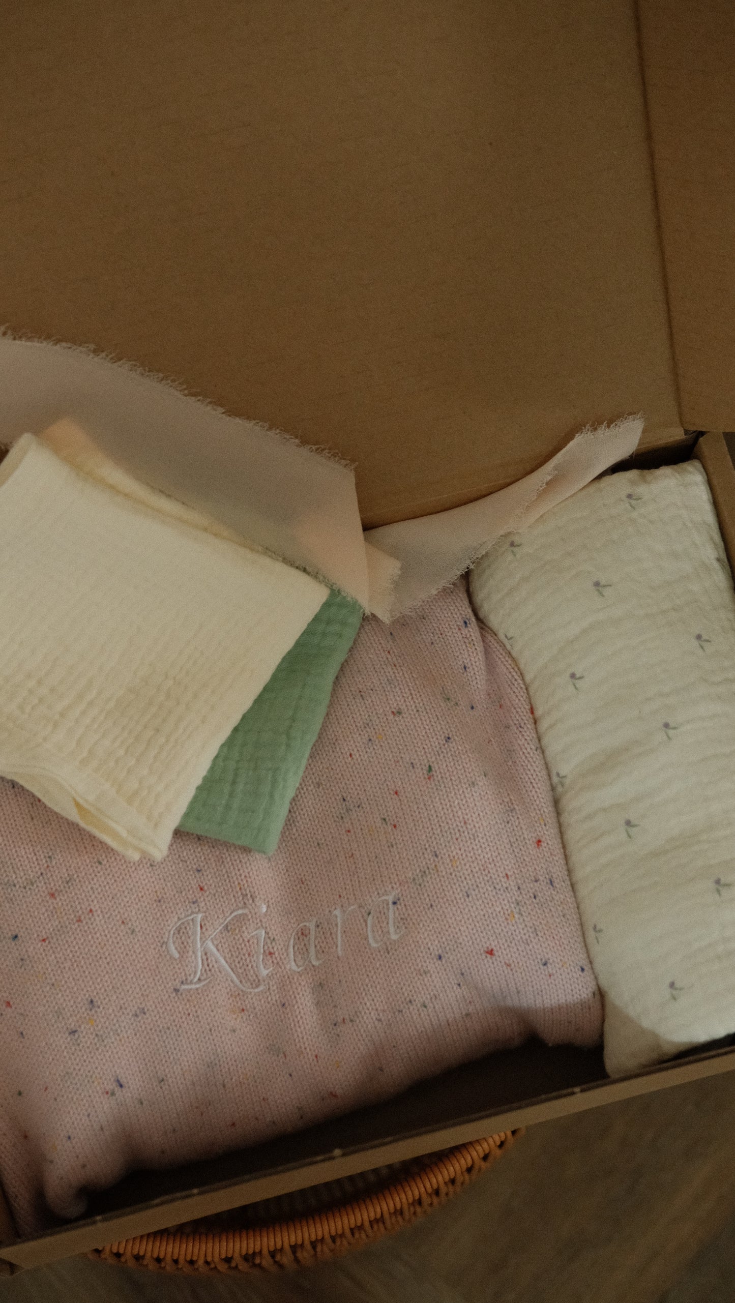 The Gentle Beginnings