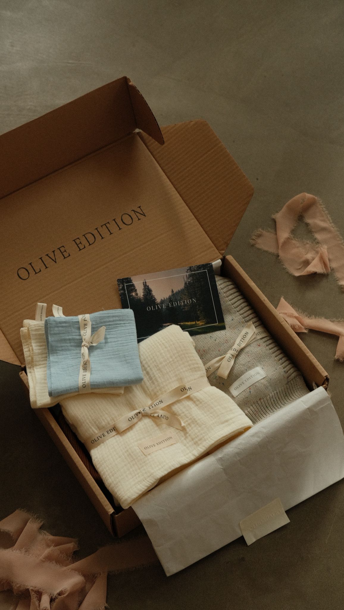 The Gentle Beginnings