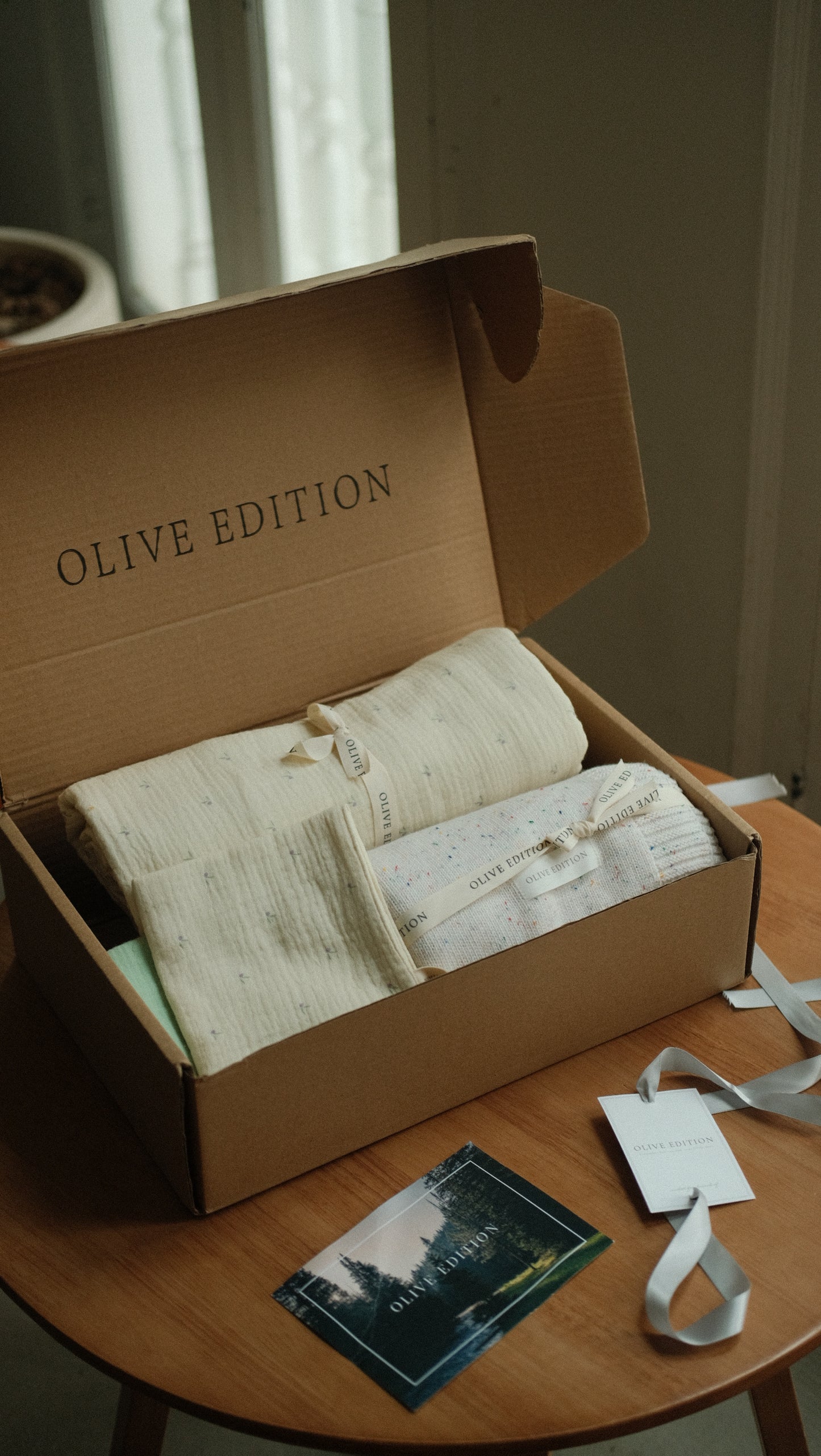 The Gentle Beginnings